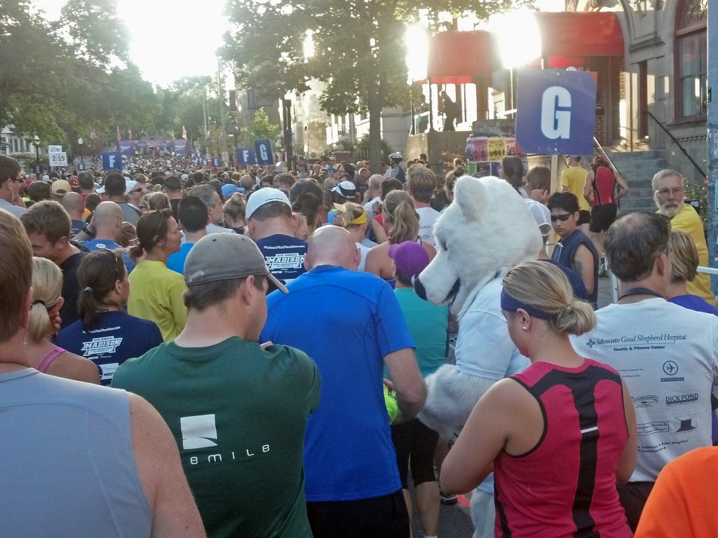 Starting Line (notice the polar bear?)